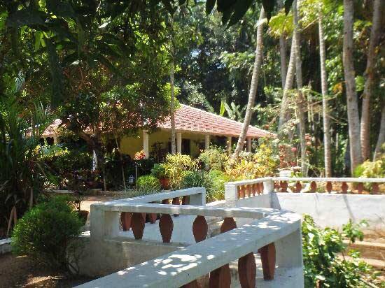 Backwater Heritage Resort, Kottayam 3